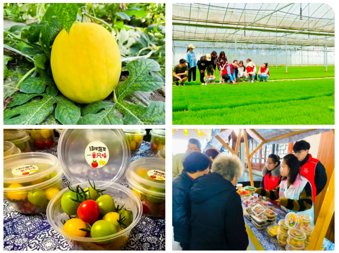 1763020932773.png 02.png