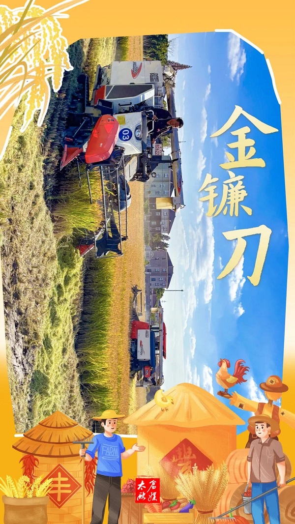 1763364992628.jpg 01.jpg