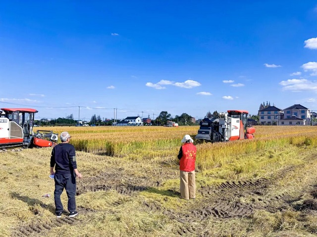 1763365023396.jpg 02.jpg