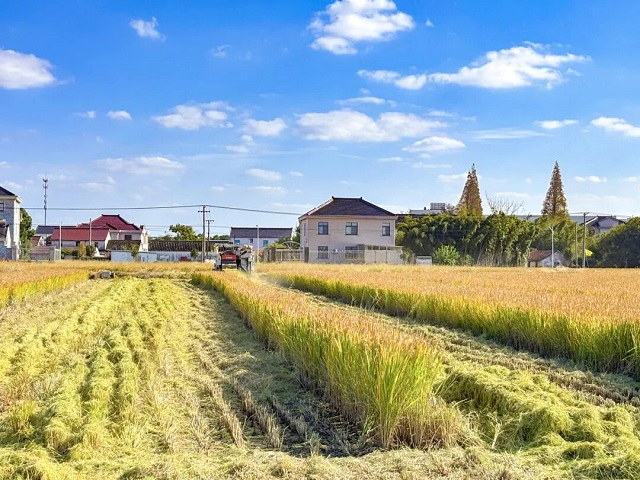 1763365051031.jpg 03.jpg