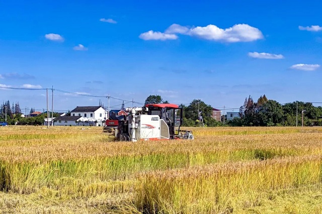 1763365093940.jpg 04.jpg