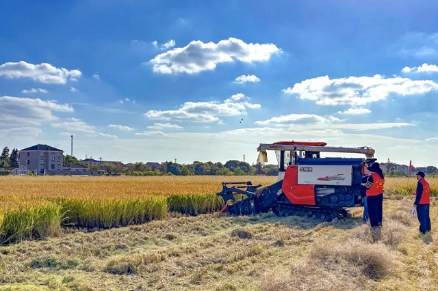 1763365101963.jpg 05.jpg