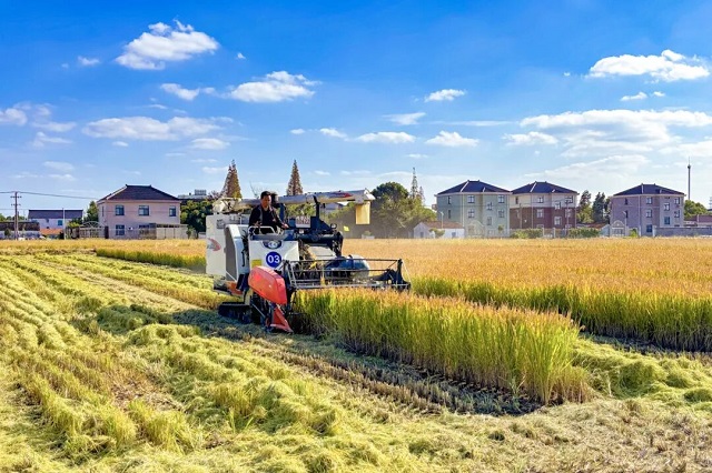 1763365130484.jpg 06.jpg