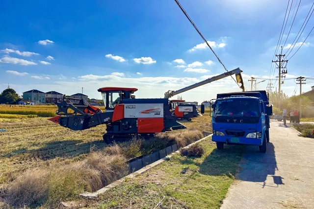 1763365162046.jpg 07.jpg