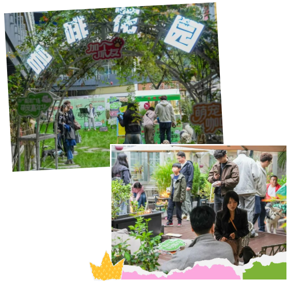 1763365432932.png 02.png