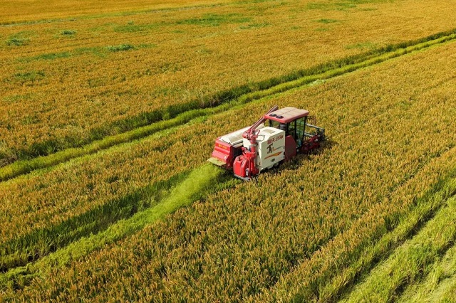 1763453064950.jpg 04.jpg