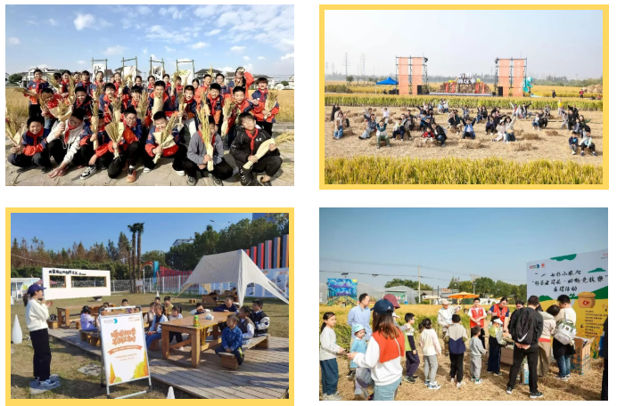 1763536214777.png 01.png