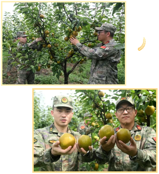 1763537824364.png 05.png