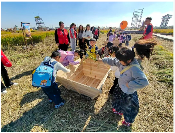 1763623700151.png 04.png