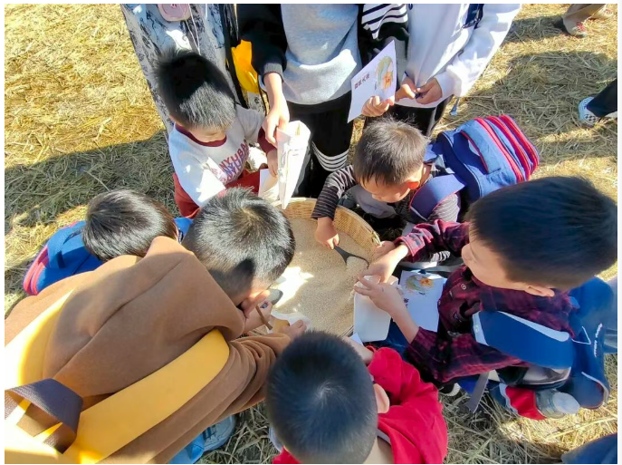 1763623740096.png 05.png