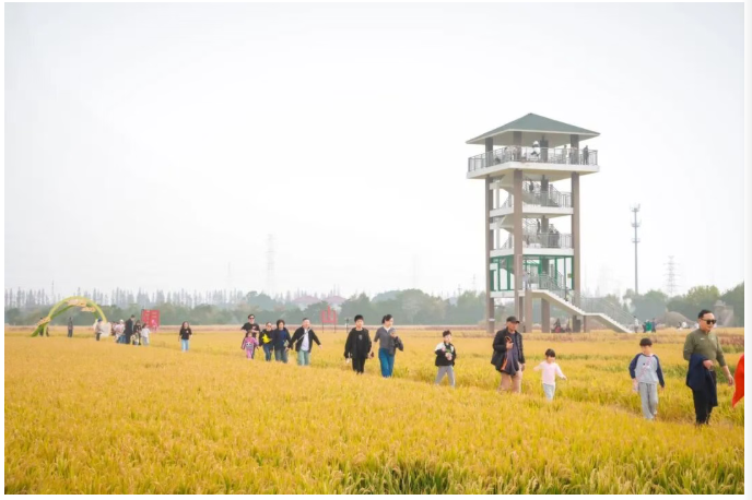 1763623813710.png 07.png