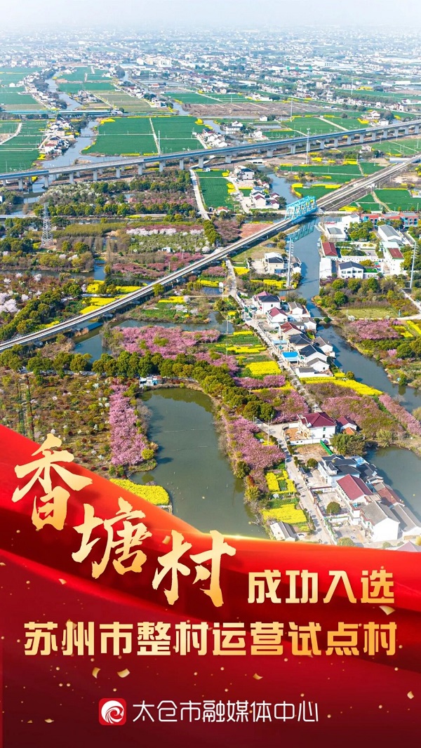 1763623995357.jpg 01.jpg