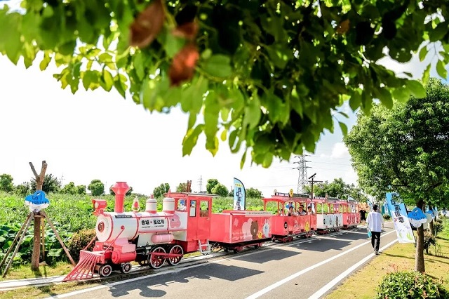 1763624129175.jpg 03.jpg