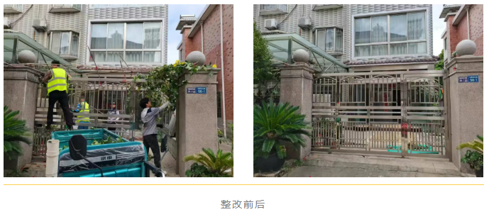 1764141766667.png 03.png