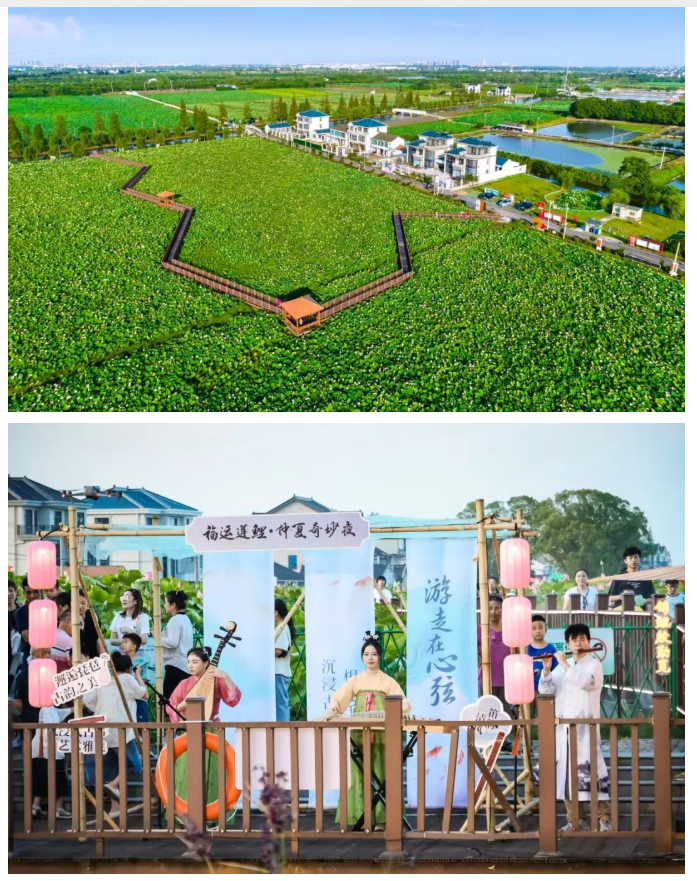 1764567959139.png 05.png