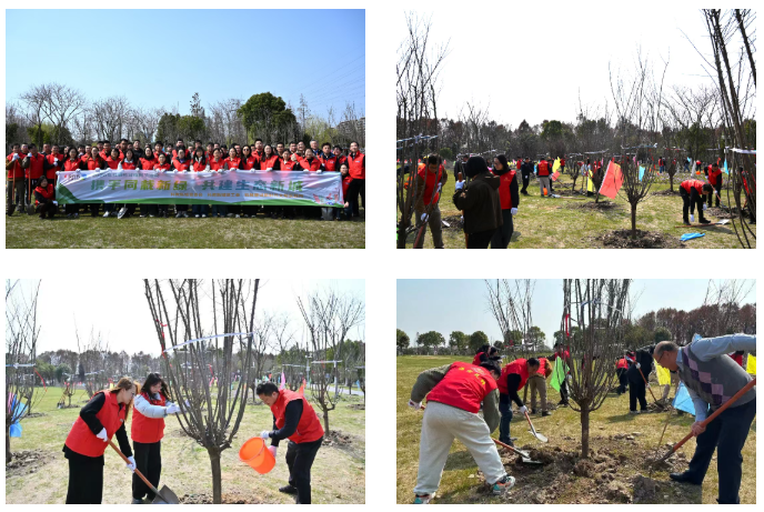 1773645867166.png 01.png